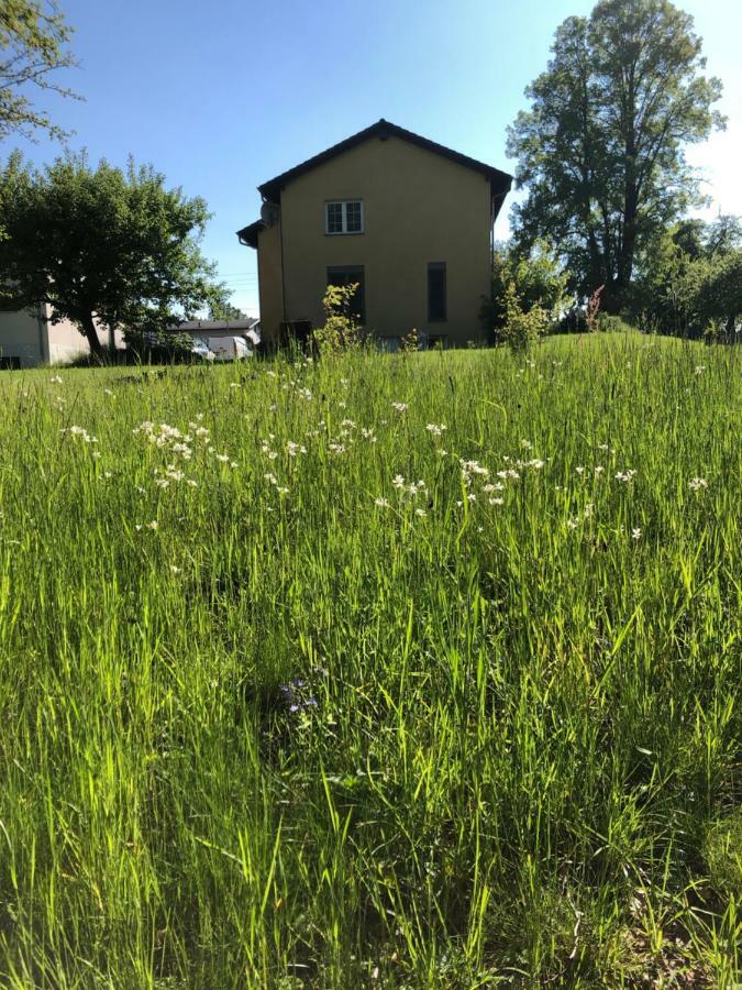 Seeblick Apartments Muehlau Екстериор снимка
